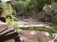 Walk back from Circular Pool, Dales Gorge